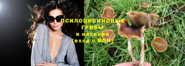 сатива Абаза